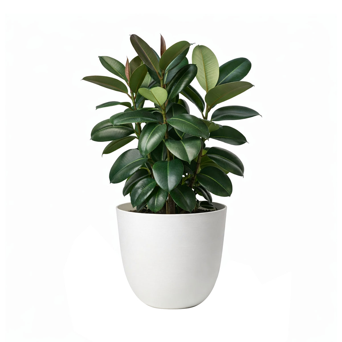 Respect White 58cm Milano Self Watering Planter – extra large white self watering planter for patio and garden displays