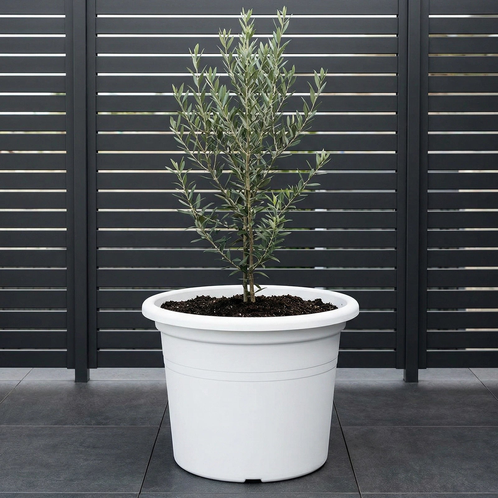 Respect White 60cm Cylinda Planter