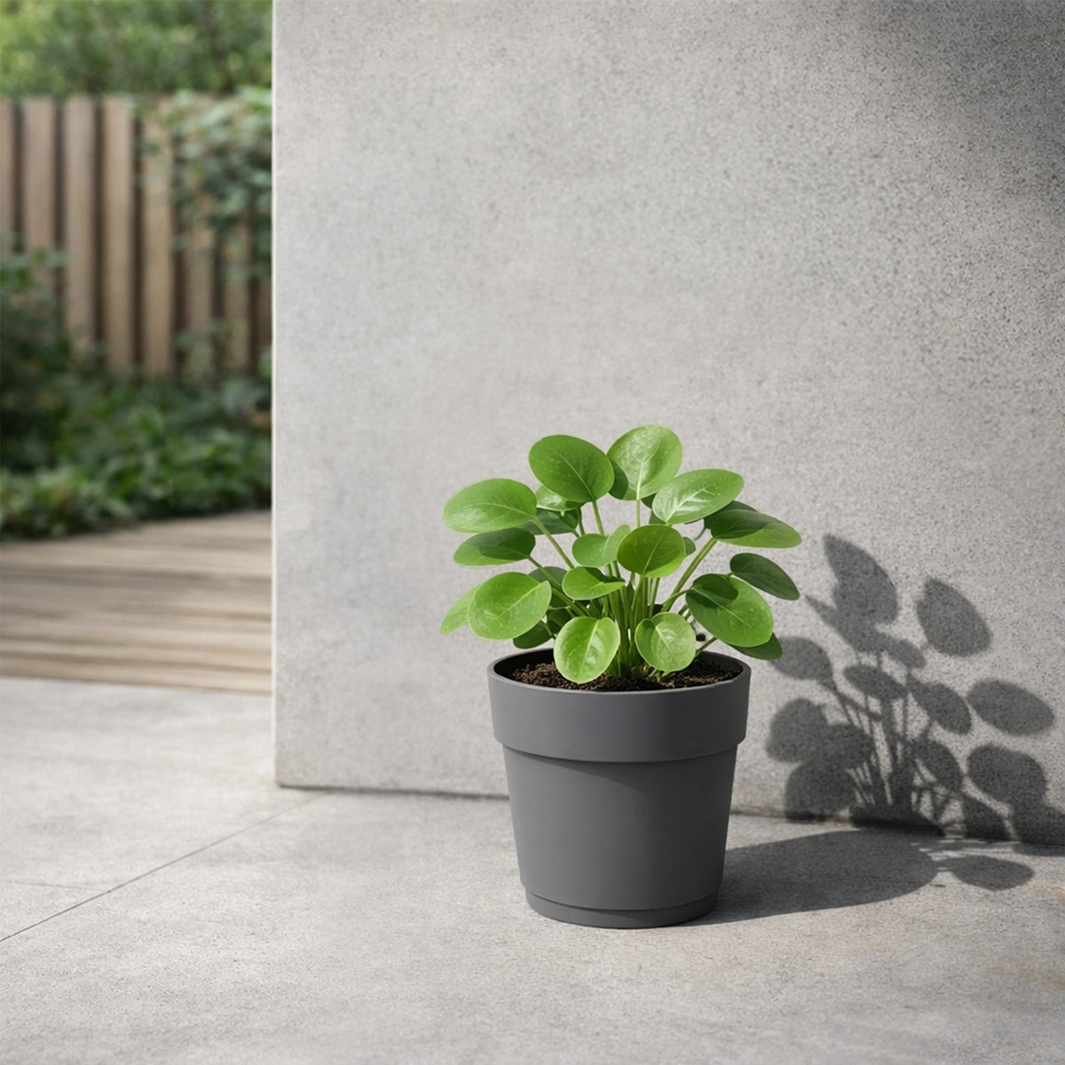 Respect Ash 24cm Bloom Self Watering Plastic Pot – modern ash grey self watering pot for indoor plants and succulents