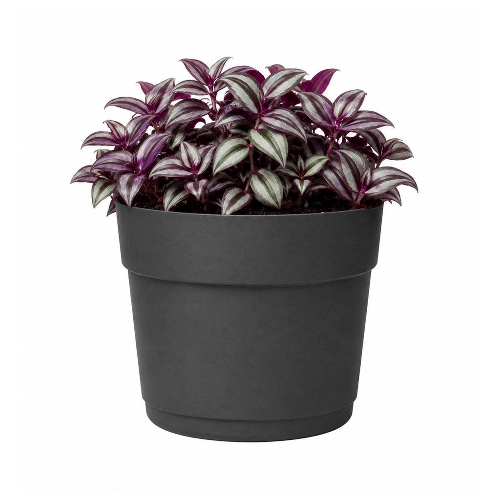 Respect Ash 24cm Bloom Self Watering Plastic Pot – modern ash grey self watering pot for indoor plants and succulents