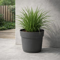 Respect Ash 29cm Cloud Bloom Self Watering Pot – medium ash grey self watering planter for indoor and balcony plants