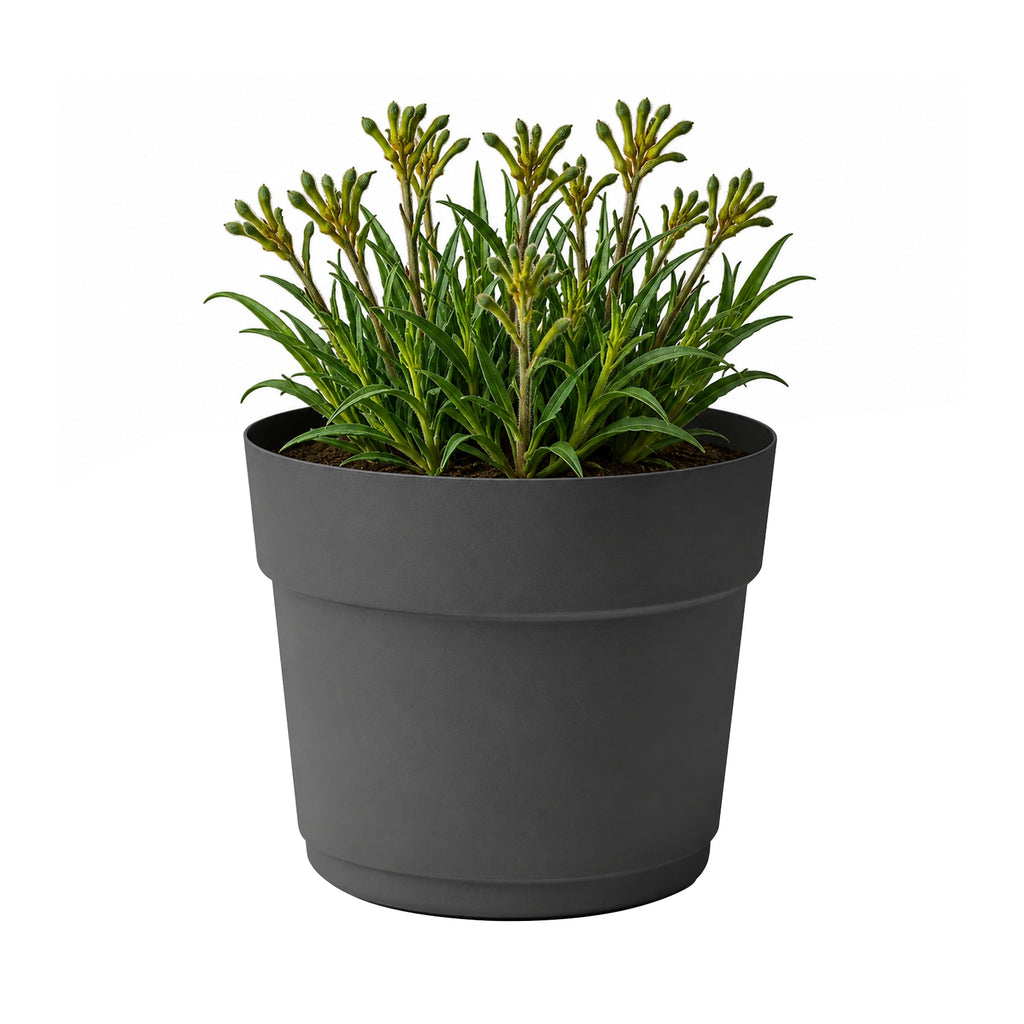 Respect Ash 29cm Cloud Bloom Self Watering Pot – medium ash grey self watering planter for indoor and balcony plants