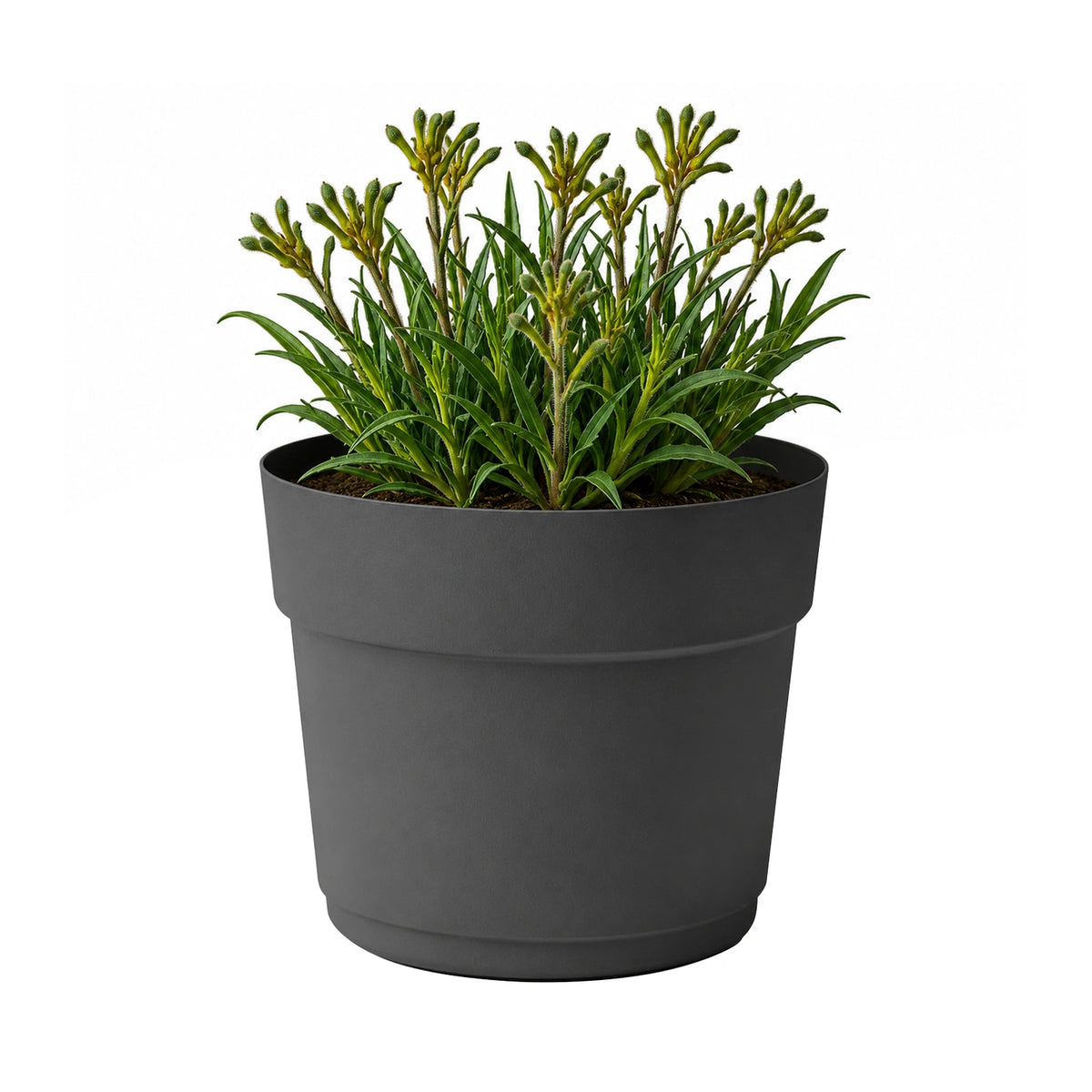 Respect Ash 29cm Cloud Bloom Self Watering Pot – medium ash grey self watering planter for indoor and balcony plants