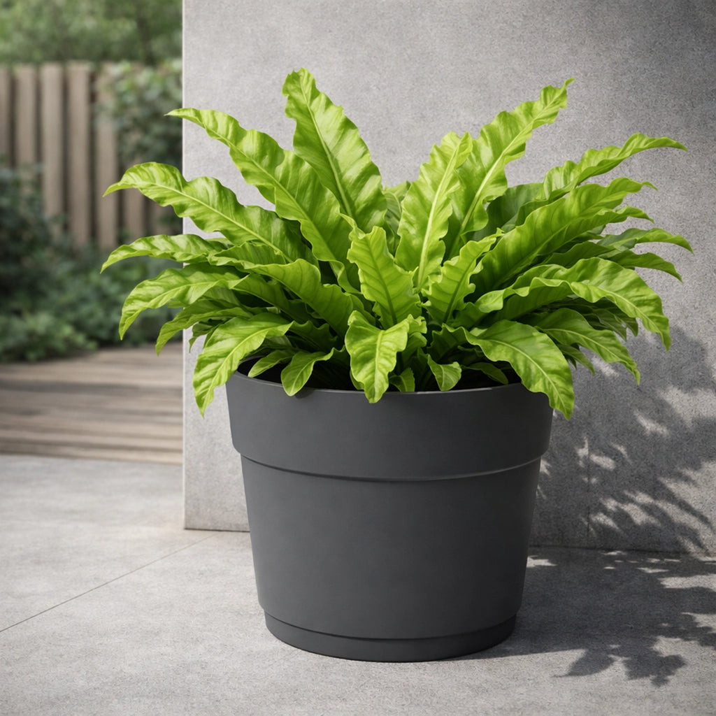 Respect Ash 38cm Bloom Self Watering Plastic Pot – large ash self watering planter for indoor and balcony plants
