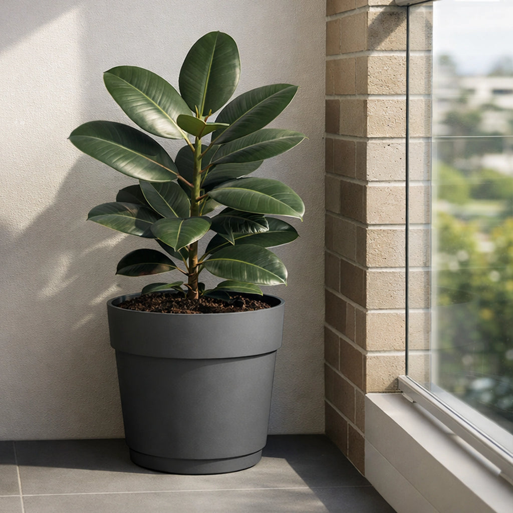 Respect Ash 38cm Bloom Self Watering Plastic Pot – large ash self watering planter for indoor and balcony plants