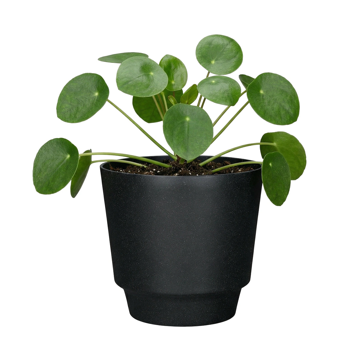 Respect Black 20cm Round Calais Stone Look Self Watering Pot – stone-effect self watering pot for indoor and outdoor plants