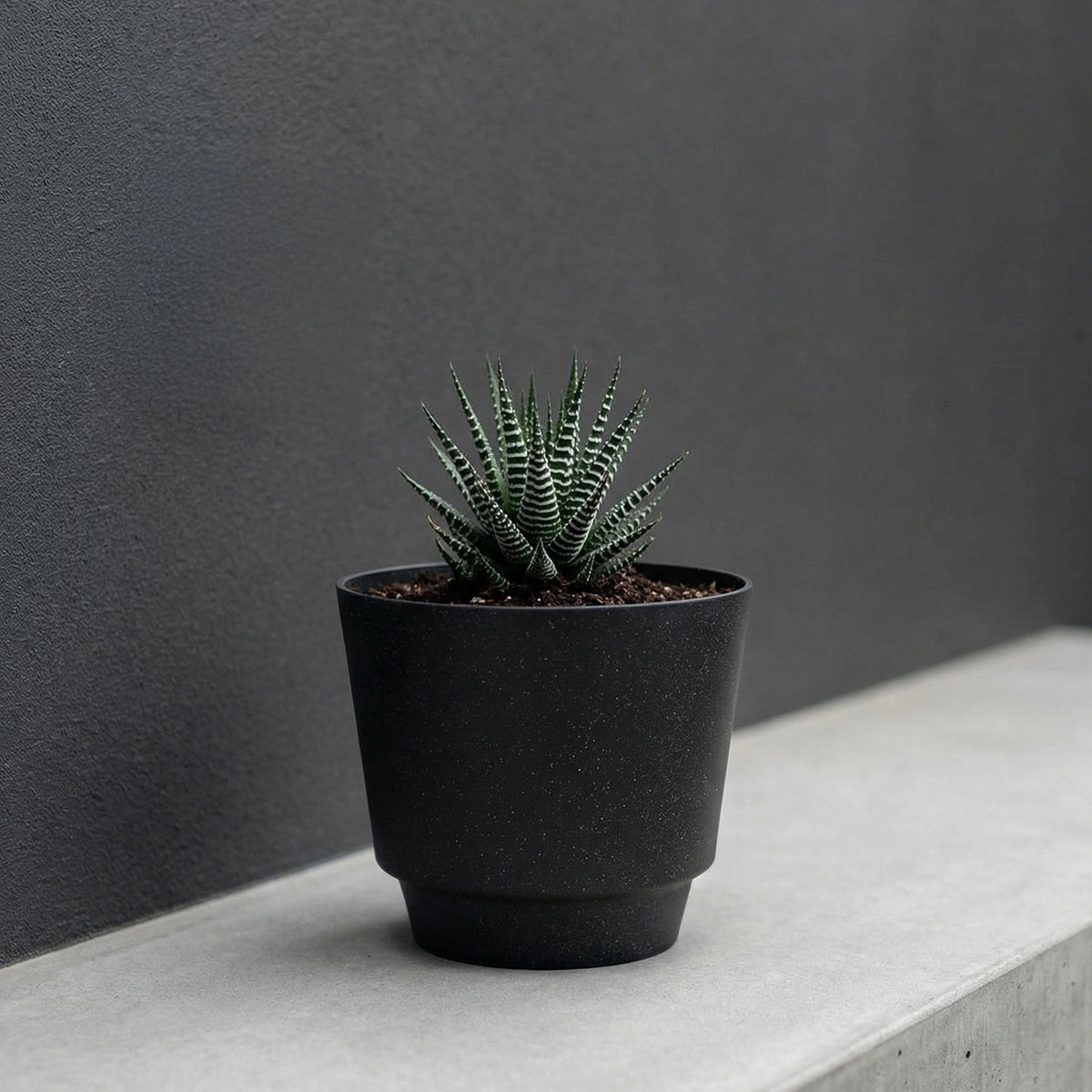 Respect Black 20cm Round Calais Stone Look Self Watering Pot – stone-effect self watering pot for indoor and outdoor plants.