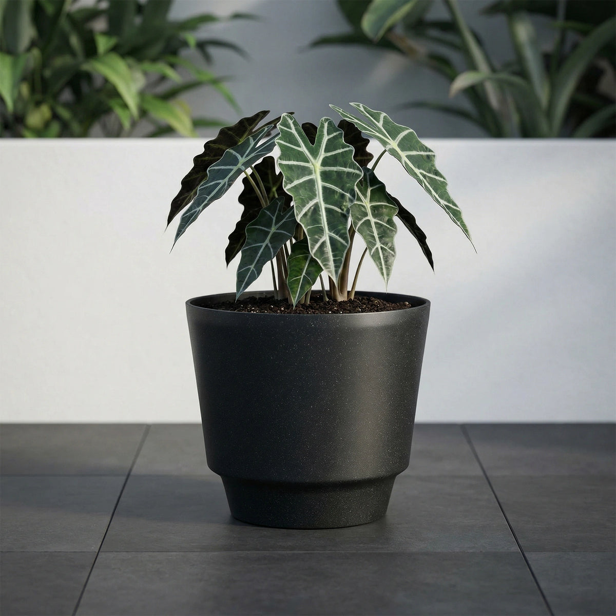 Respect Black 30cm Round Calais Stone Look Self Watering Pot – medium stone-effect self watering pot for patio plants