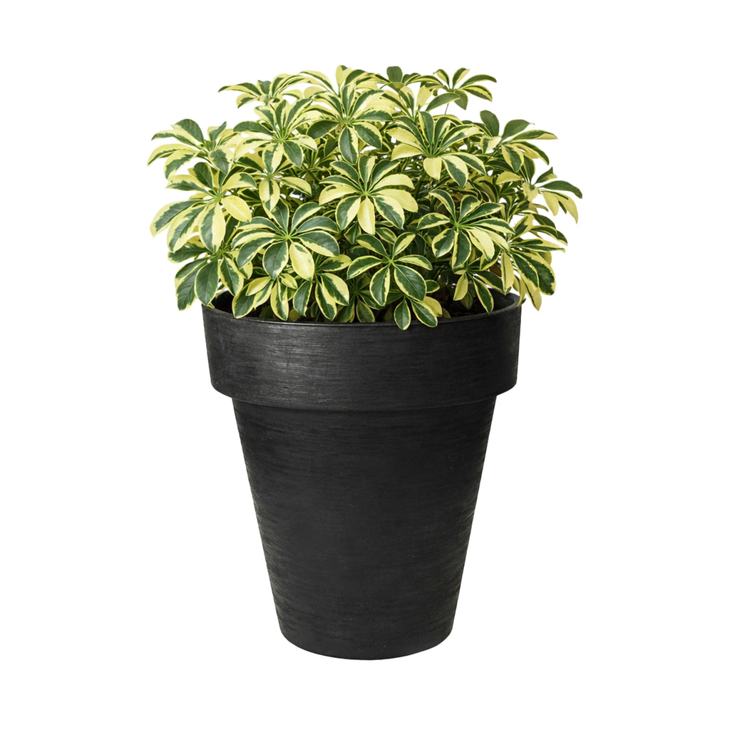 Respect Black 30cm Time Planter – modern black plastic pot for contemporary indoor and outdoor garden styling.