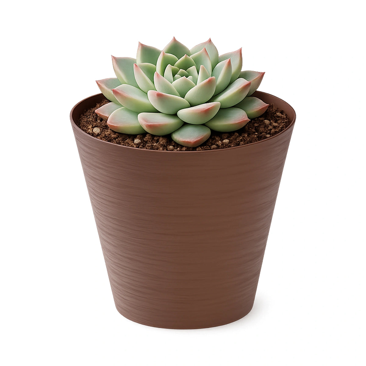 Respect Brown 16cm Terracotta Repot Self Watering Planter – small terracotta-style self watering repot pot for indoor herbs.