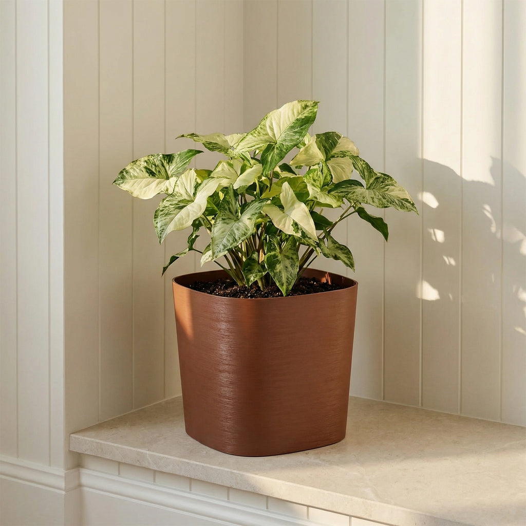 Respect Brown 19cm Terracotta Florence Self Watering Pot – classic terracotta-look self watering pot for herbs and indoor plants.