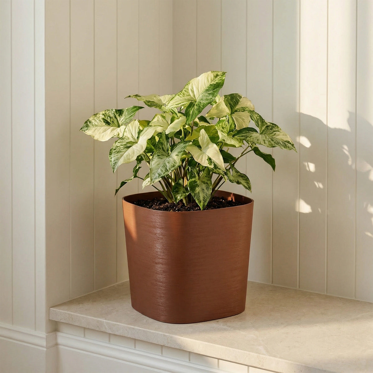 Respect Brown 19cm Terracotta Florence Self Watering Pot – classic terracotta-look self watering pot for herbs and indoor plants.