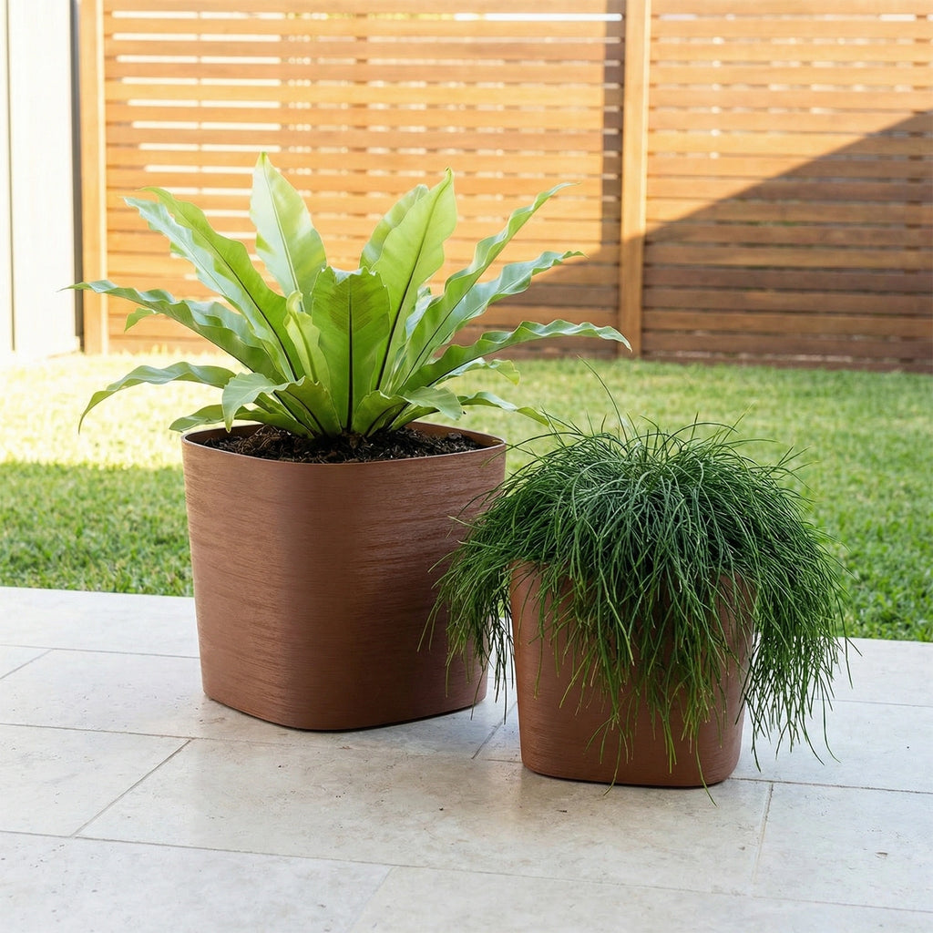 Respect Brown 19cm Terracotta Florence Self Watering Pot – classic terracotta-look self watering pot for herbs and indoor plants.