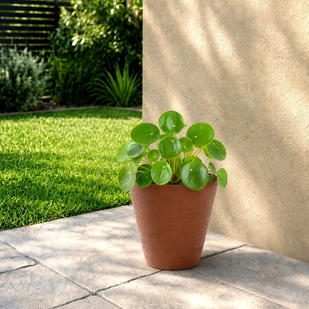 Respect Brown 20cm Terracotta Repot Self Watering Planter – terracotta-look self watering planter for indoor and balcony plants.