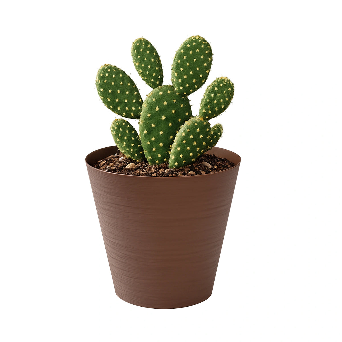 Respect Brown 20cm Terracotta Repot Self Watering Planter – terracotta-look self watering planter for indoor and balcony plants.