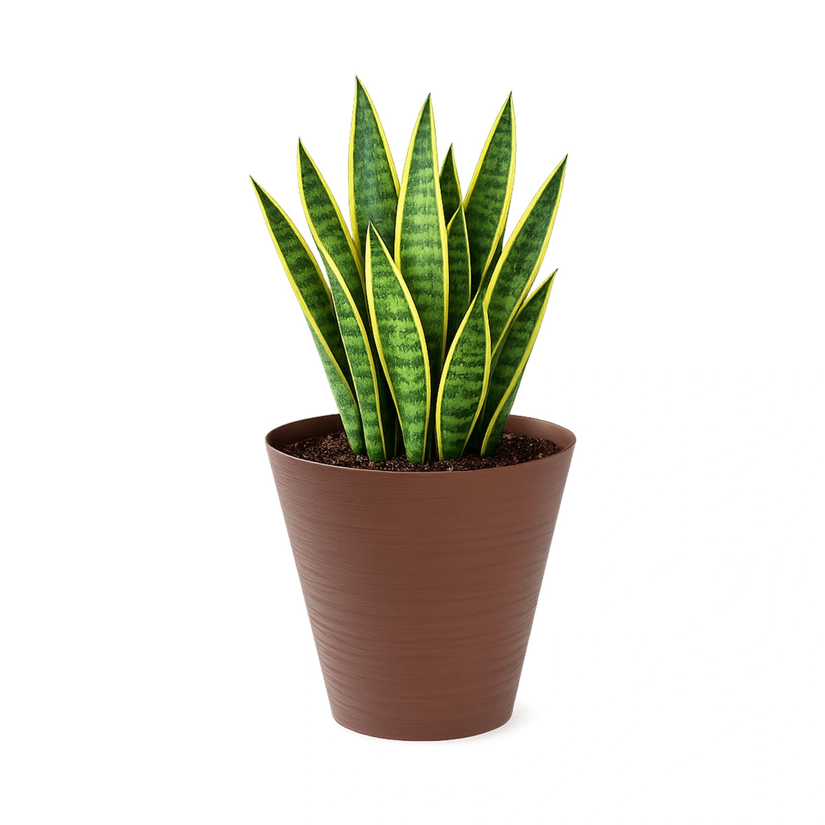 Respect Brown 30cm Terracotta Repot Self Watering Planter – large terracotta-look self watering repot pot for indoor gardens.