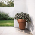 Respect Brown 40cm Terracotta Time Planter with Wheels – large terracotta-look plastic garden planter on wheels.
