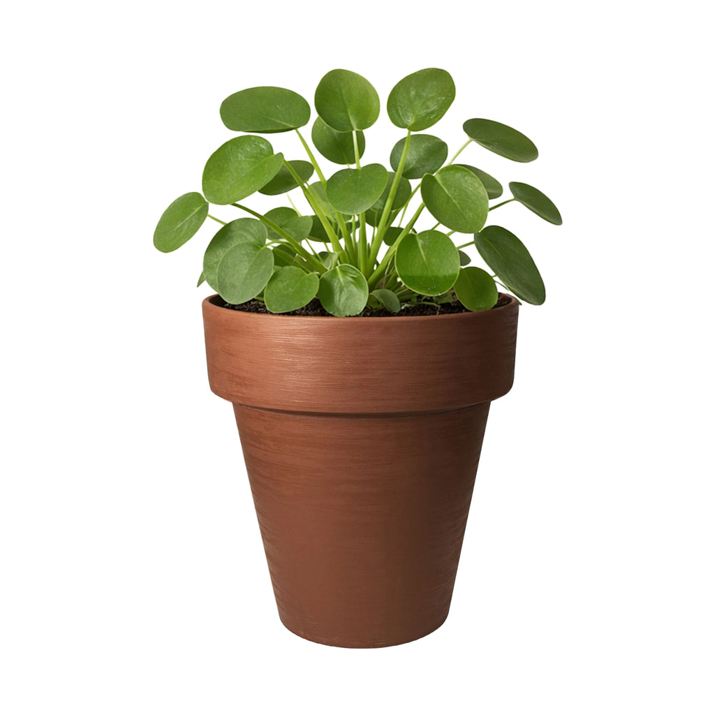 Respect Brown 40cm Terracotta Time Planter with Wheels – large terracotta-look plastic garden planter on wheels.