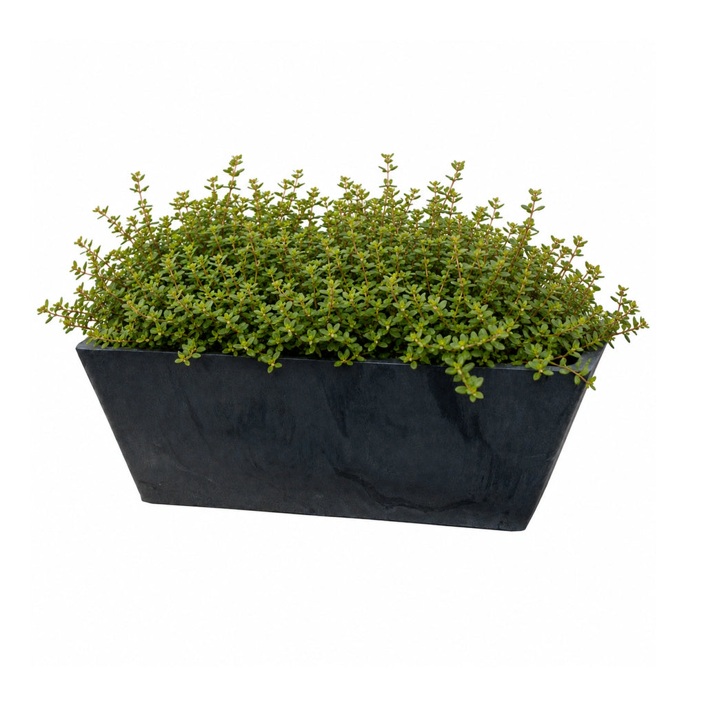 Respect Charcoal 25cm Green Earth Trough Planter – eco-friendly charcoal recycled plastic trough planter for herbs and flowers.