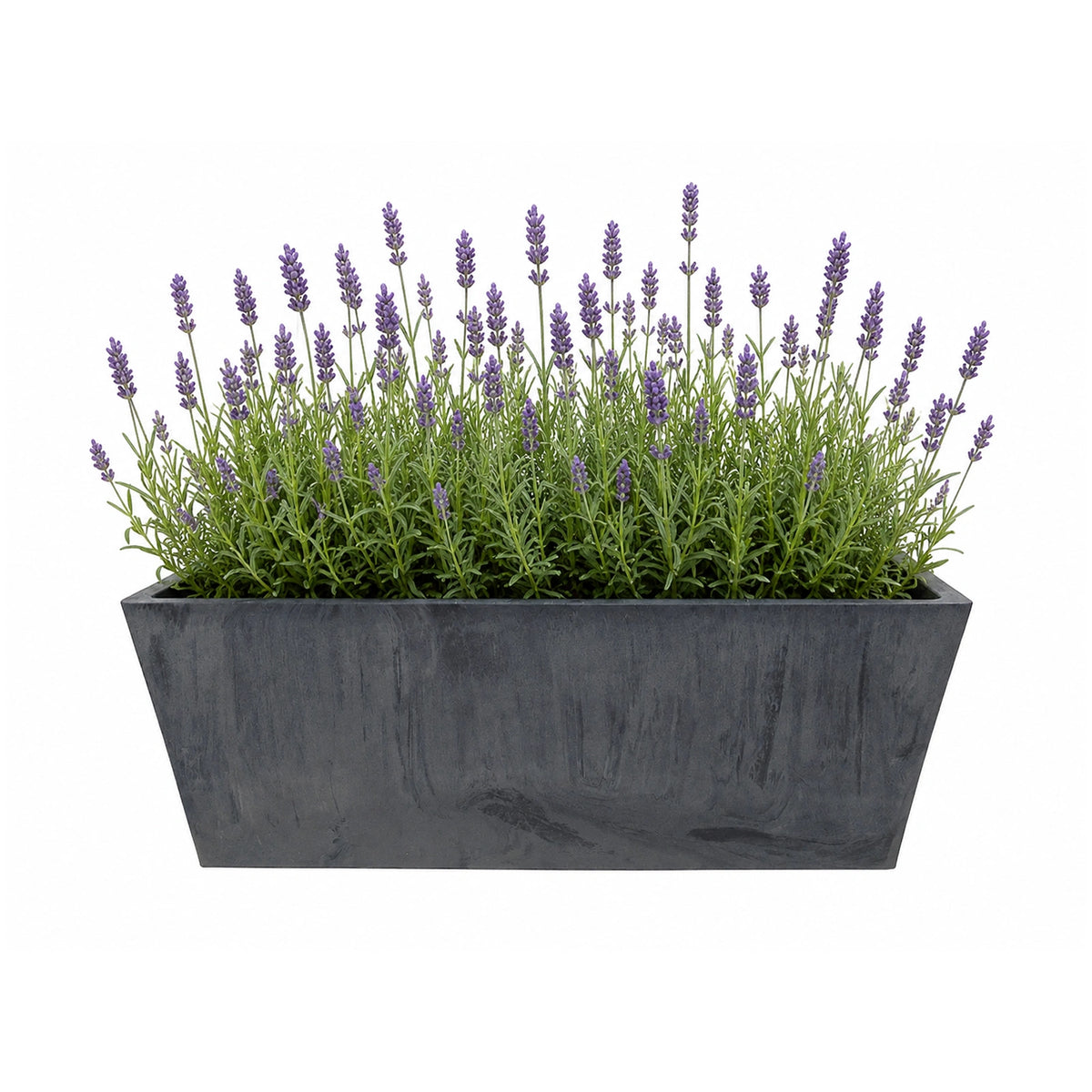 Respect Charcoal 35cm Green Earth Trough Planter – recycled charcoal plastic window trough for outdoor herb and flower gardens.