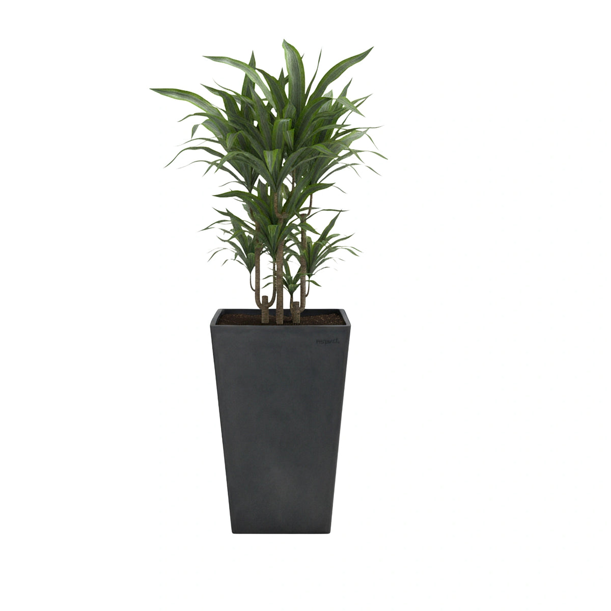 Respect Dark Grey 50cm Green Earth Tall Square Planter – eco-friendly dark grey tall square outdoor planter for modern gardens.