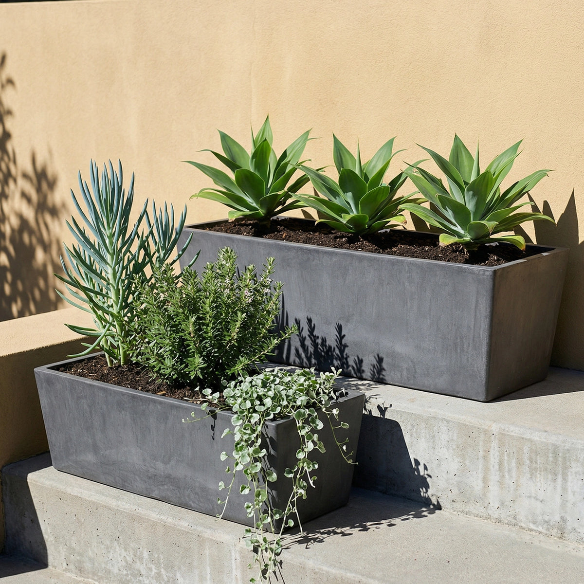 Respect Dark Grey 55cm Green Earth Trough – eco-friendly dark grey plastic trough planter for outdoor herb and flower gardens.