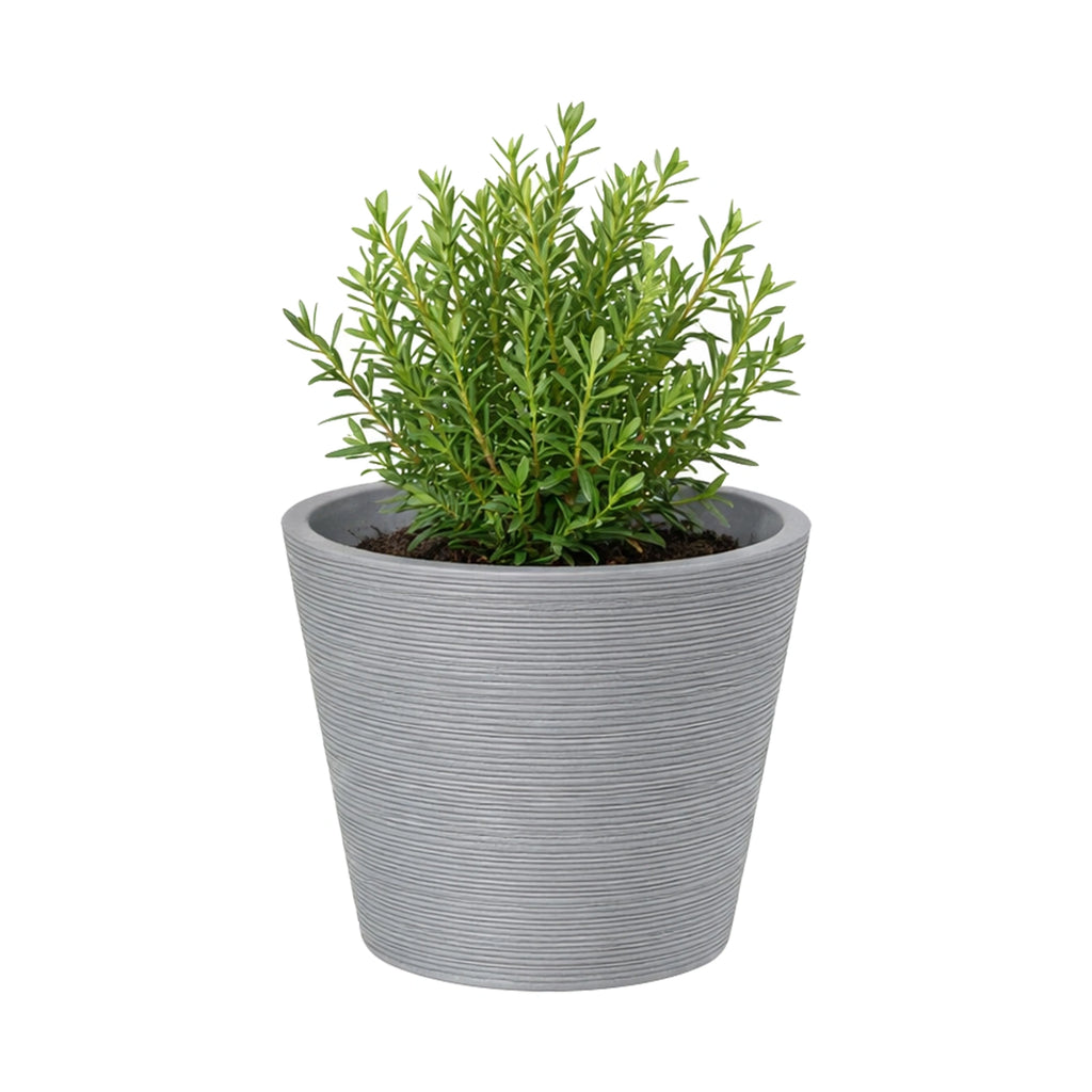 Respect Grey 15cm Green Earth Full Rim Planter – small eco-friendly grey recycled plastic pot for indoor plants and succulents.
