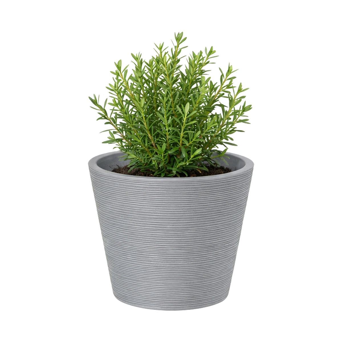 Respect Grey 15cm Green Earth Full Rim Planter – small eco-friendly grey recycled plastic pot for indoor plants and succulents.
