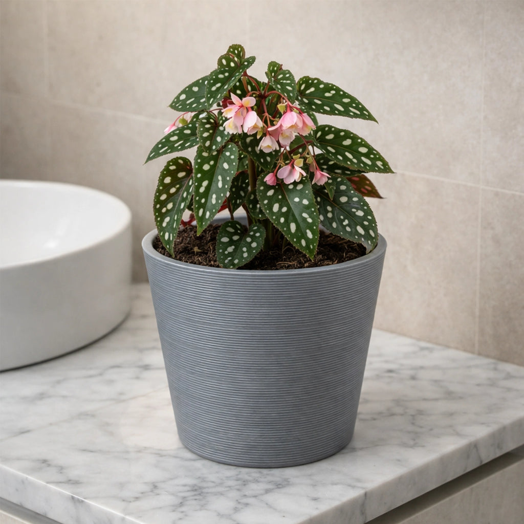 Respect Grey 20cm Green Earth Full Rim Planter – eco-friendly grey recycled plastic pot for indoor and balcony plants.