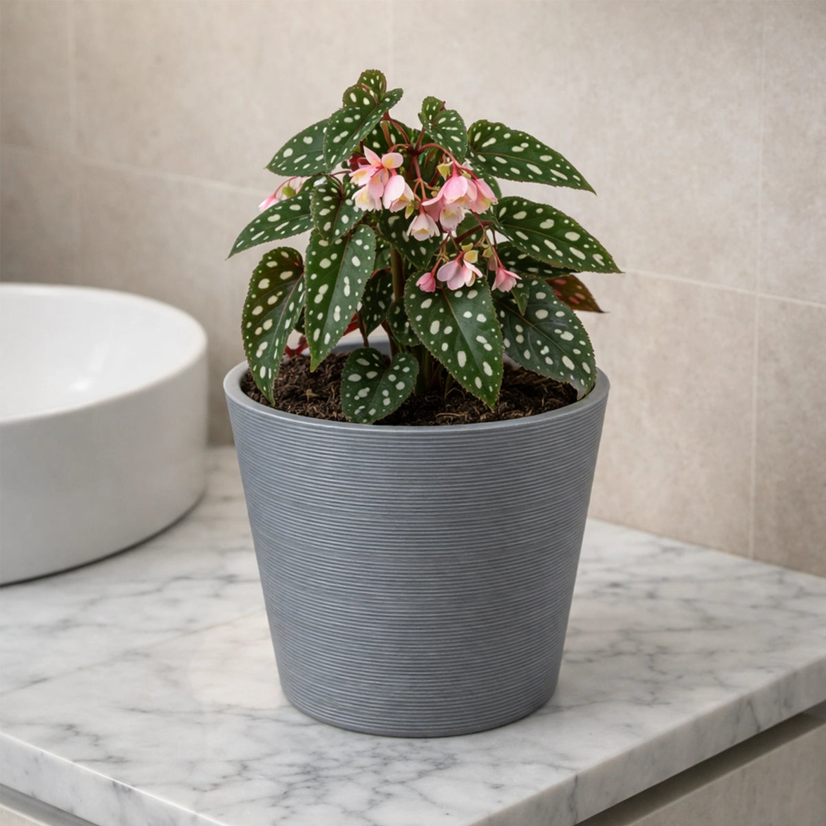 Respect Grey 20cm Green Earth Full Rim Planter – eco-friendly grey recycled plastic pot for indoor and balcony plants.