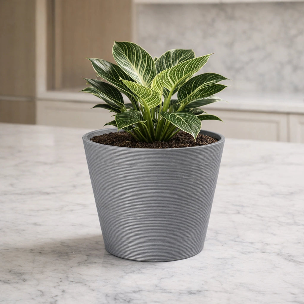 Respect Grey 20cm Green Earth Full Rim Planter – eco-friendly grey recycled plastic pot for indoor and balcony plants.