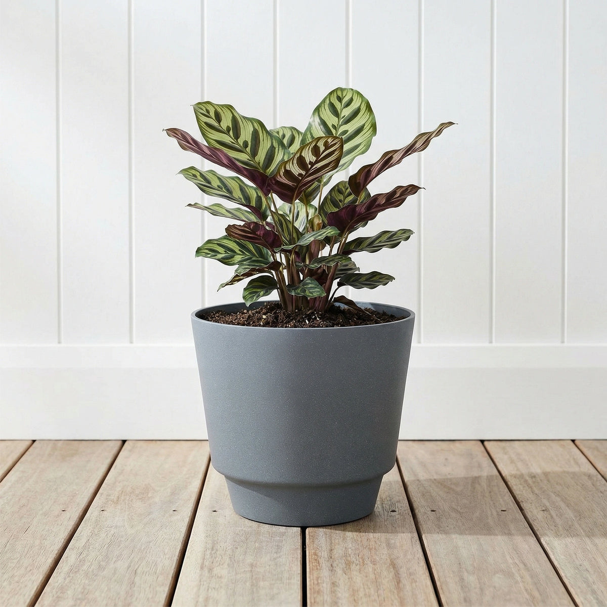 Respect Grey 20cm Round Calais Stone Look Self Watering Pot – grey stone-effect self watering pot for indoor plants