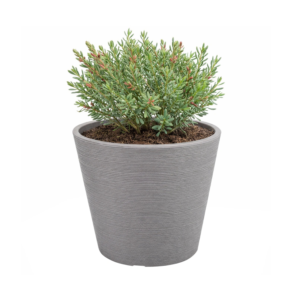 Respect Grey 30cm Green Earth Full Rim Planter – large eco-friendly grey recycled plastic planter for outdoor gardens.