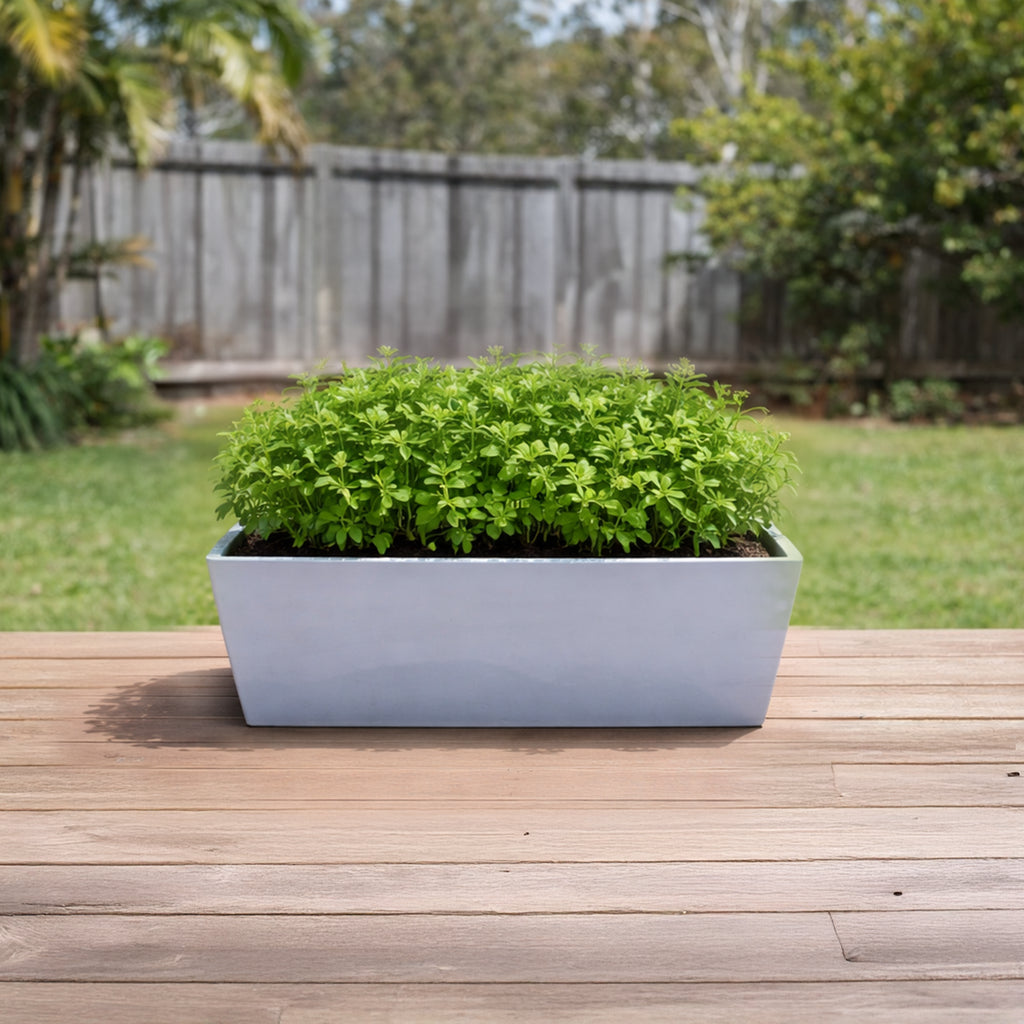 Respect Grey 35cm Green Earth Trough Planter – eco-friendly grey recycled plastic trough planter for outdoor gardens.