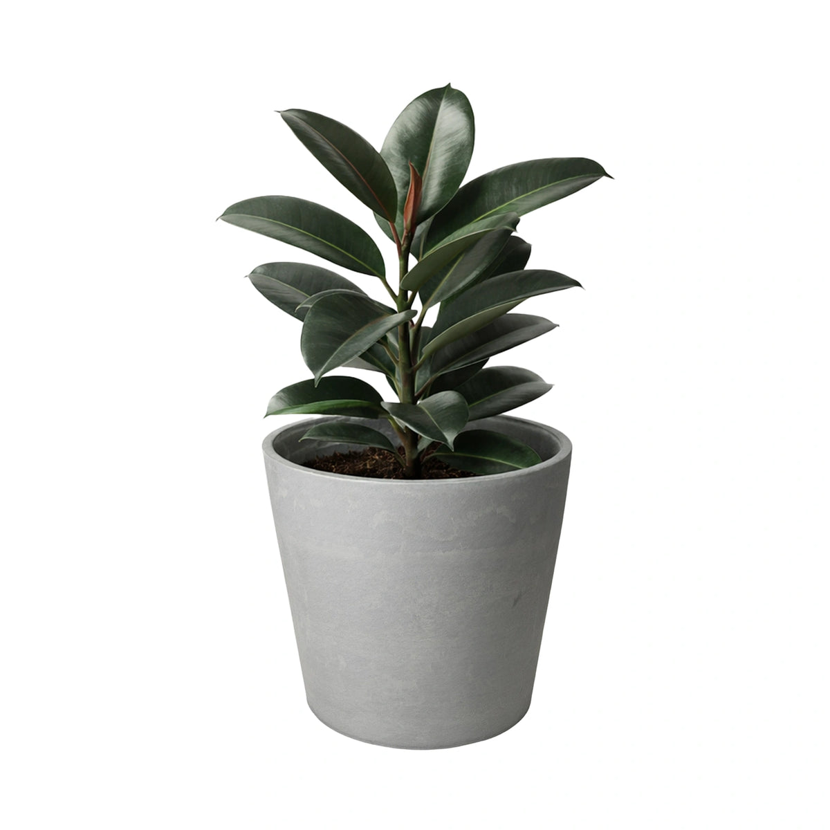Respect Light Grey 50cm Green Earth Tapered Cylinder Planter – extra large light grey eco tapered cylinder outdoor planter.