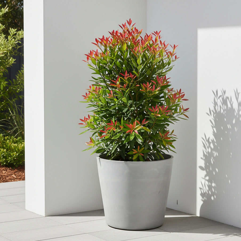 Respect Light Grey 50cm Green Earth Tapered Cylinder Planter – extra large light grey eco tapered cylinder outdoor planter.