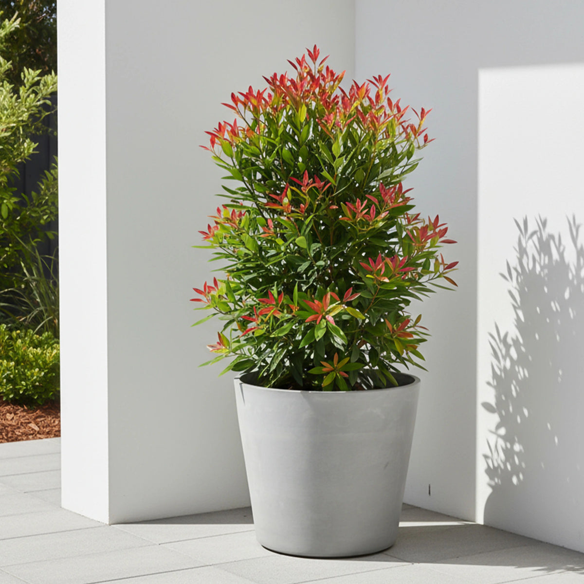 Respect Light Grey 50cm Green Earth Tapered Cylinder Planter – extra large light grey eco tapered cylinder outdoor planter.