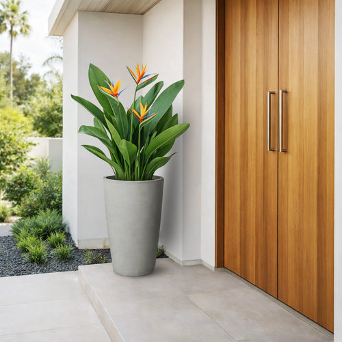 Respect Light Grey 75cm Green Earth Tall Cylinder Planter – tall lightweight grey eco plastic cylinder planter for feature garden displays.