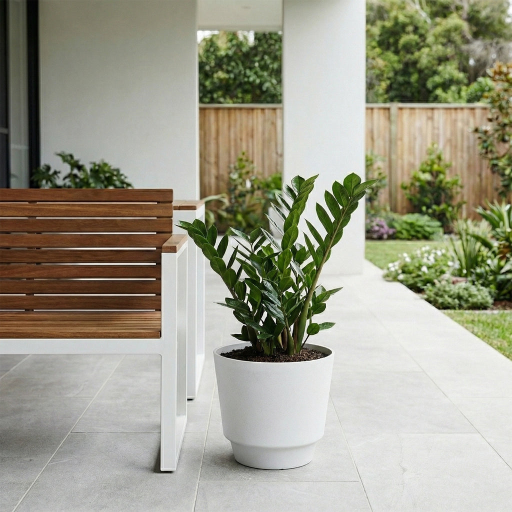 Respect White 20cm Round Calais Stone Look Self Watering Pot – white stone-effect self watering pot for indoor plants