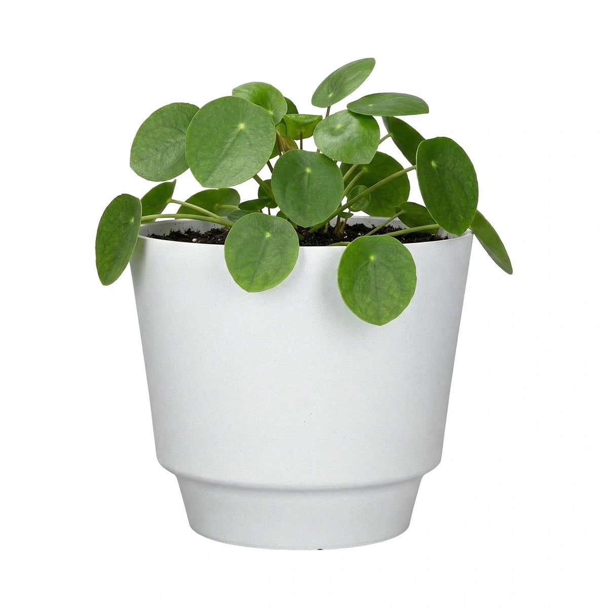 Respect White 20cm Round Calais Stone Look Self Watering Pot – white stone-effect self watering pot for indoor plants
