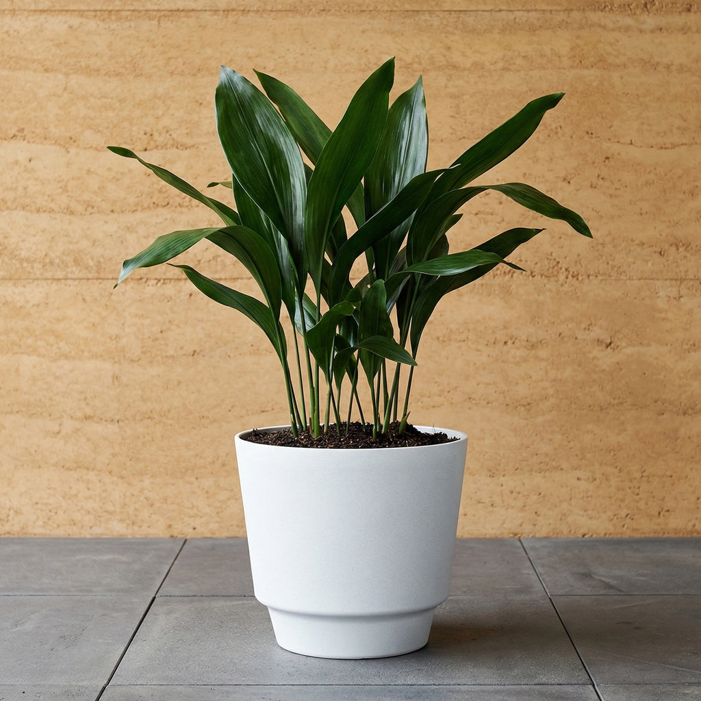 Respect White 20cm Round Calais Stone Look Self Watering Pot – white stone-effect self watering pot for indoor plants