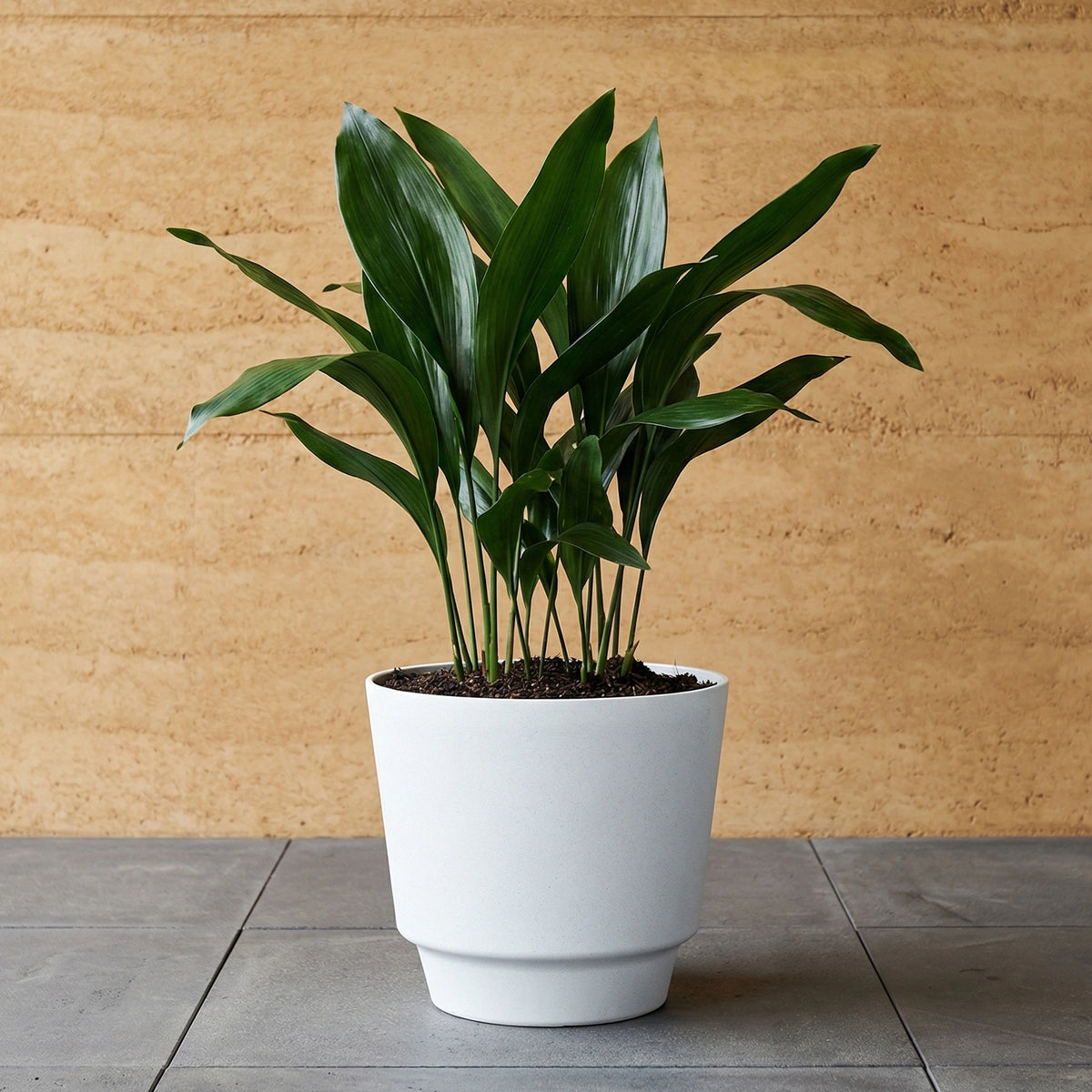 Respect White 20cm Round Calais Stone Look Self Watering Pot – white stone-effect self watering pot for indoor plants