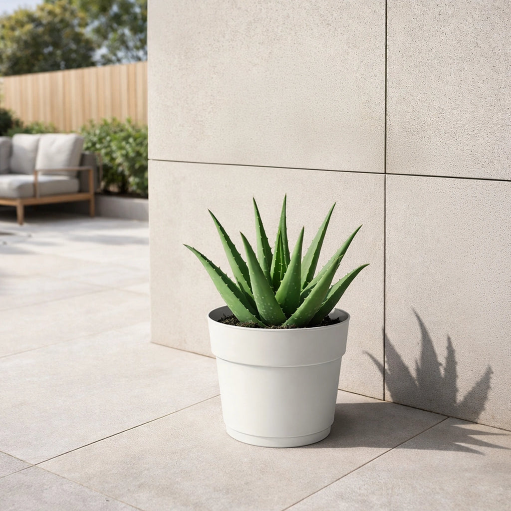 Respect White 24cm Cloud Bloom Self Watering Pot – modern cloud white self watering pot for indoor plants and succulents.