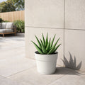 Respect White 24cm Cloud Bloom Self Watering Pot – modern cloud white self watering pot for indoor plants and succulents.
