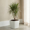 Respect White 24cm Florence Self Watering Pot – stylish white self watering pot for indoor and outdoor plants.