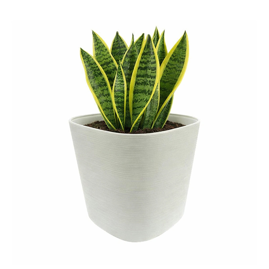 Respect White 24cm Florence Self Watering Pot – stylish white self watering pot for indoor and outdoor plants.