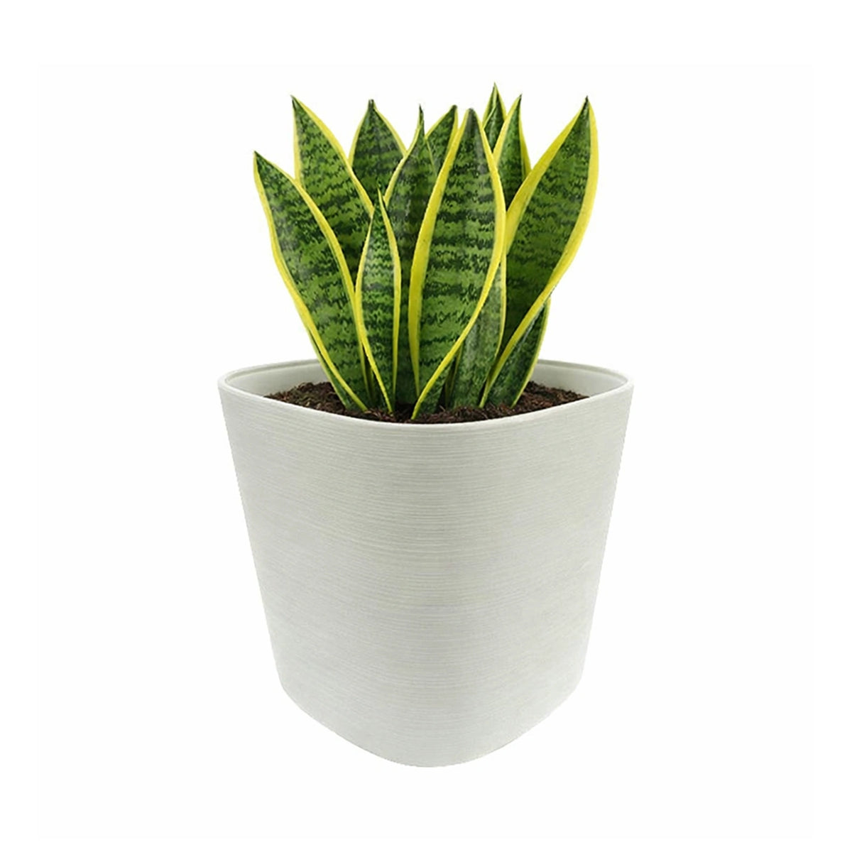 Respect White 24cm Florence Self Watering Pot – stylish white self watering pot for indoor and outdoor plants.