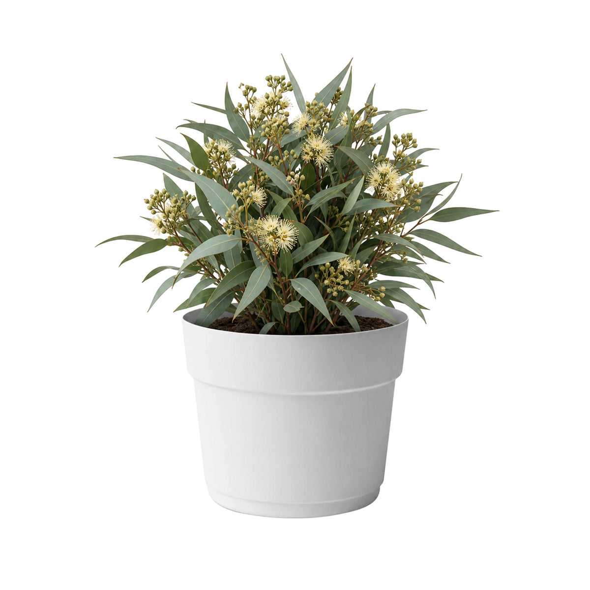 Respect White 29cm Cloud Bloom Self Watering Pot – medium cloud white self watering planter for indoor and balcony plants.