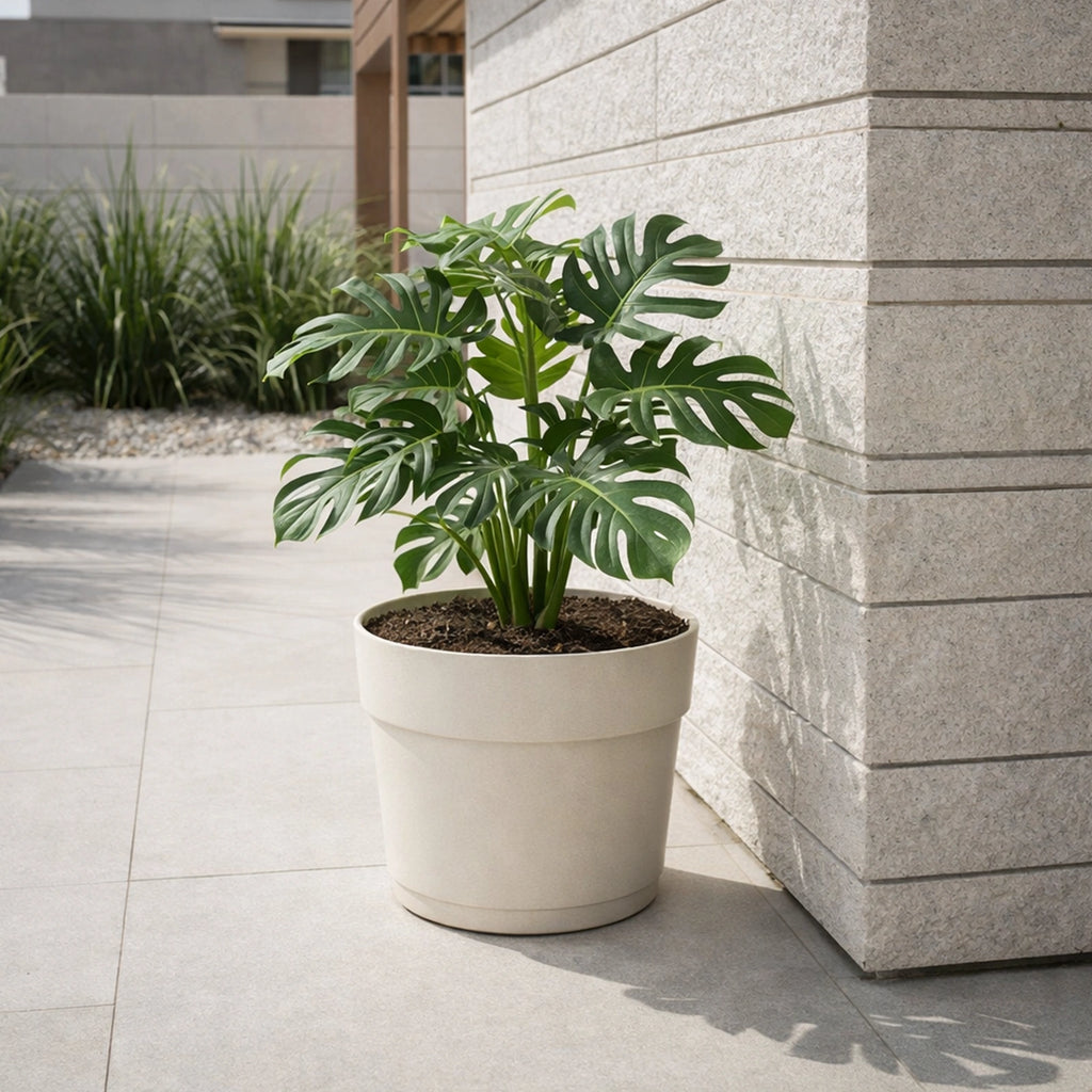 Respect White 29cm Cloud Bloom Self Watering Pot – medium cloud white self watering planter for indoor and balcony plants.