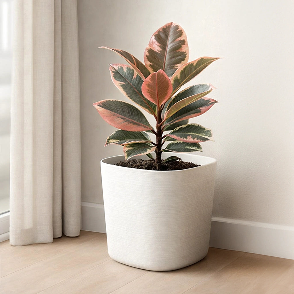 Respect White 29cm Florence Self Watering Pot – large white self watering planter for indoor and balcony gardens.